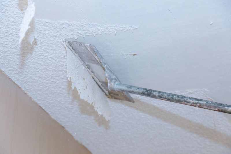 Ceiling Texture Removal detail